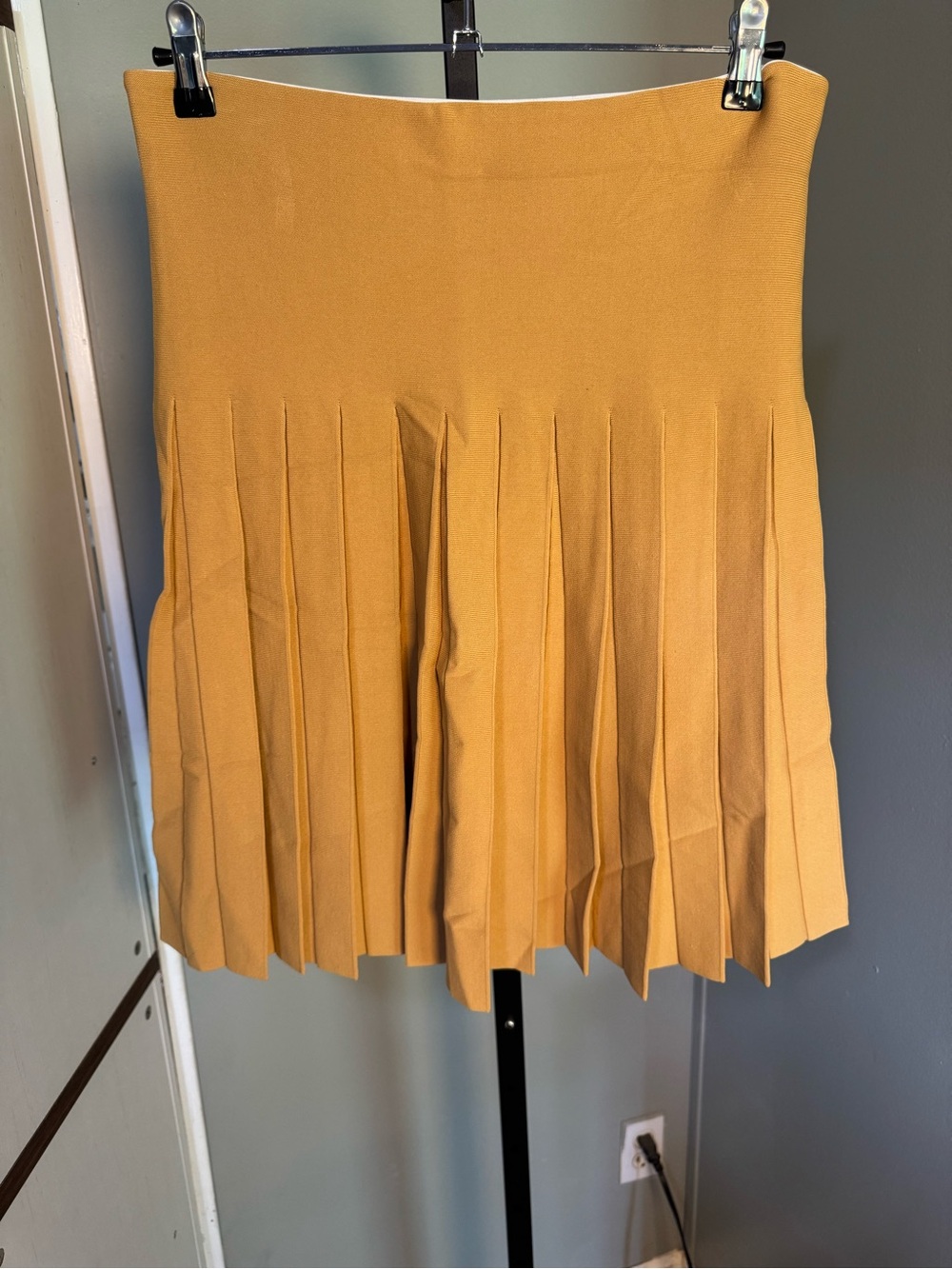 Aleeza Paris Pleated  Skirt in Butter Yellow